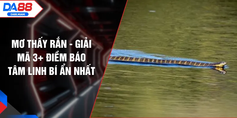 Mơ Thấy Rắn - Giải Mã 3+ Điềm Báo Tâm Linh Bí Ẩn Nhất