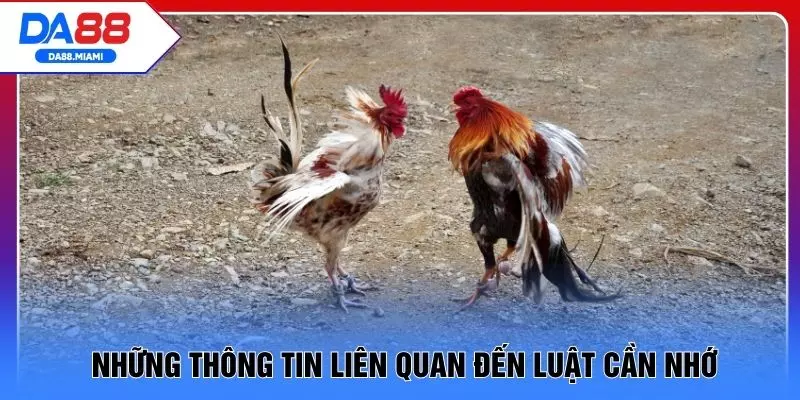 Những thông tin liên quan đến luật cần nhớ