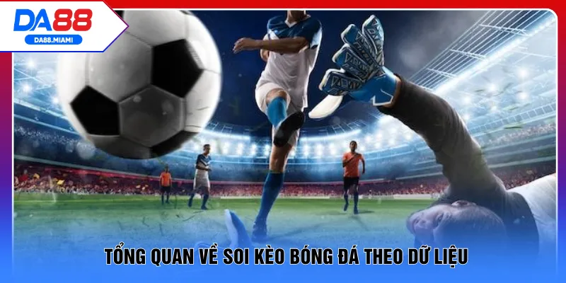 Tổng quan về soi kèo bóng đá theo dữ liệu